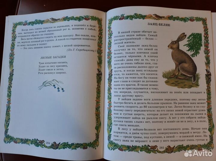 Книга Азбука Живой природы