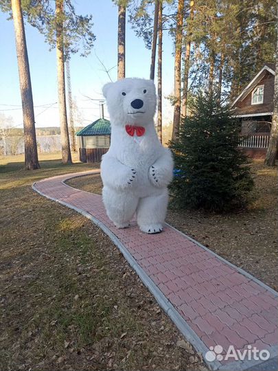 Поздравление большого Белого медведя