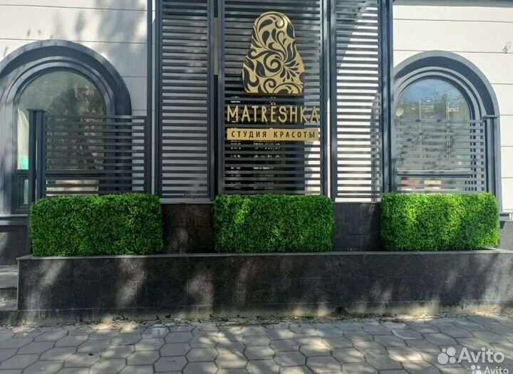 Вертикальное озеленение интерьера, фитостены