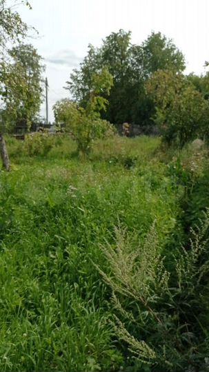 Участок 9 сот. (ИЖС)