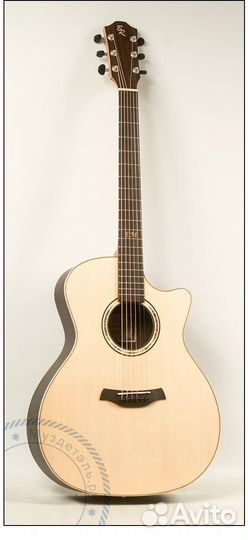 Гитара fingerstyle гитариста Eddie van der Meer