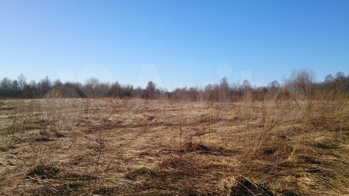 Участок 5,64 га (СНТ, ДНП)