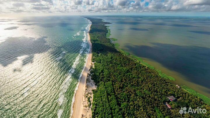 Экскурсия на Куршскую косу