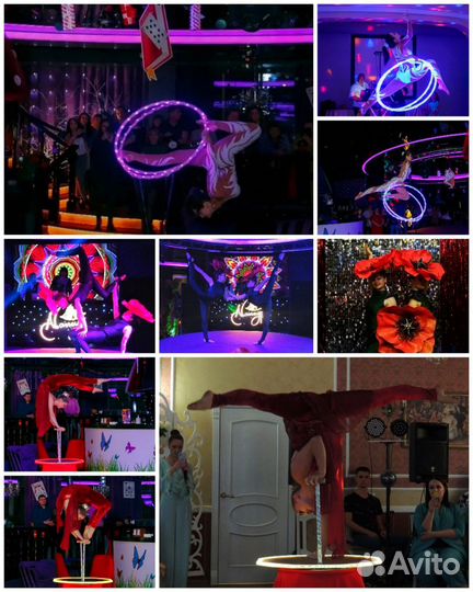 Шоу программа. Артисты на праздники