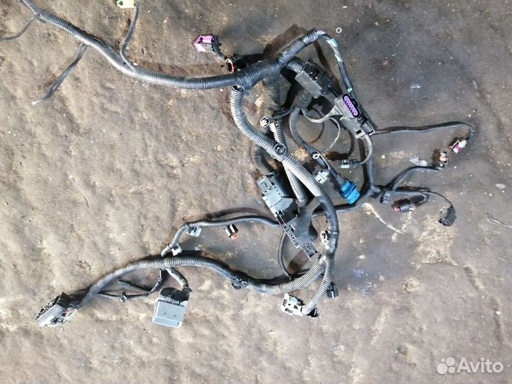 Жгут проводов мотора chevrolet cruze, 1.6, F16D4