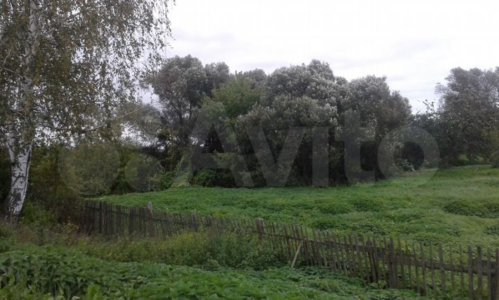 Участок 10 сот. (ИЖС)