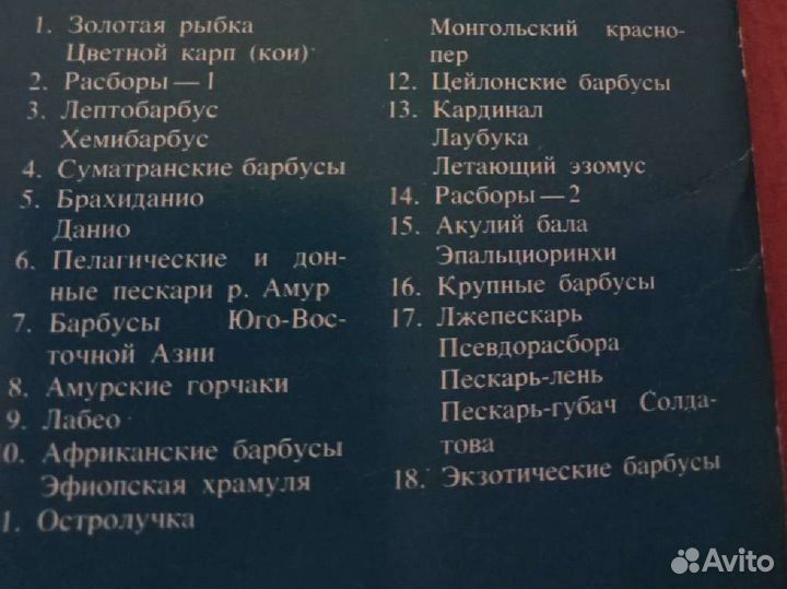 Набор открыток