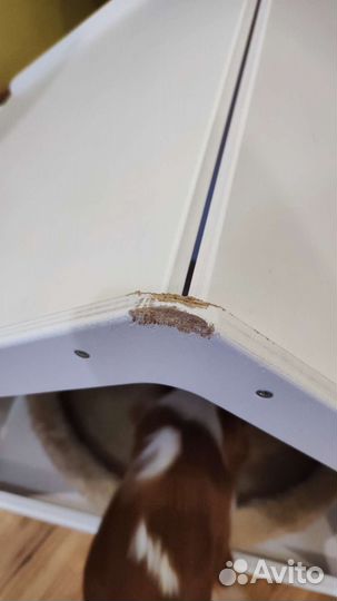 Будка для собаки