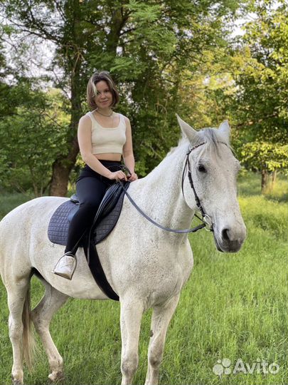 Конные прогулки, тренировки по верховой езде