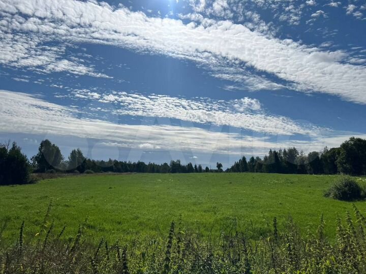 Участок 145 га (СНТ, ДНП)