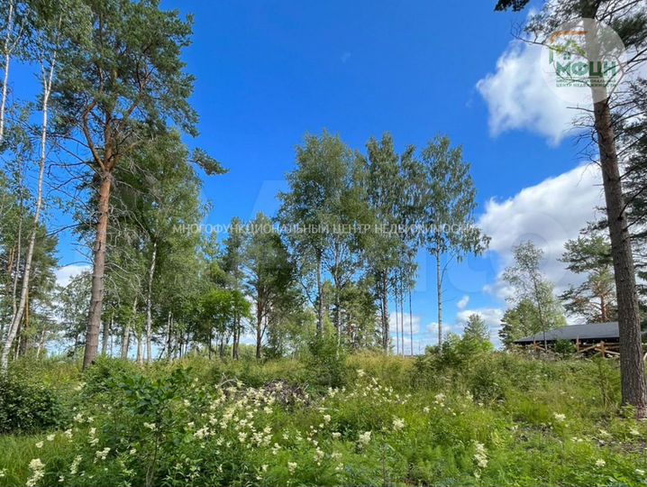 Участок 12 сот. (СНТ, ДНП)