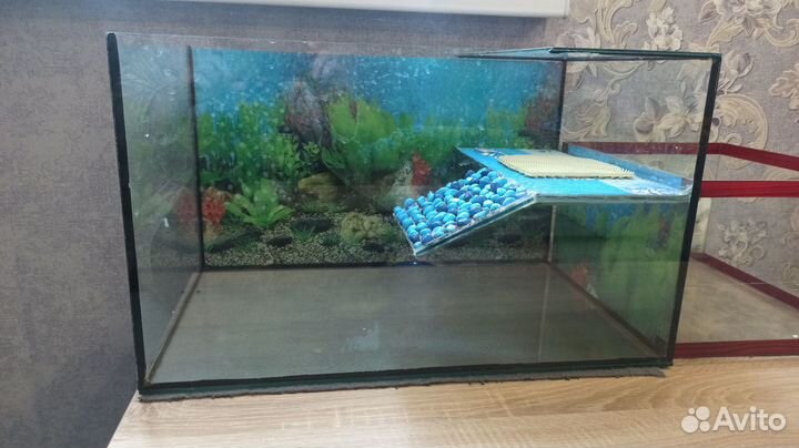 Террариум для красноухой черепахи