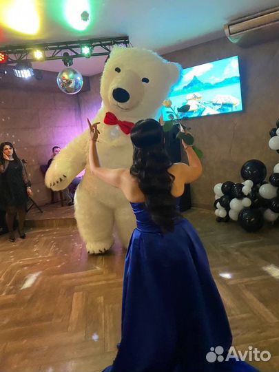 Белый мишка поздравление/гендер пати под ключ