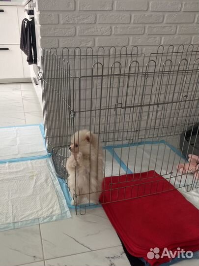 Вольер для животных