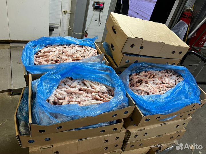 Мясо для собак