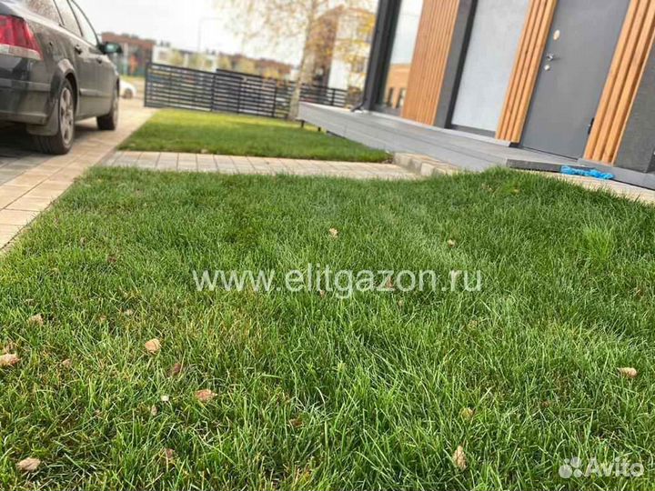 Укладка рулонного газона