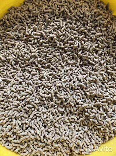 Корм для рыб