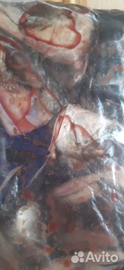 Рыбные отходы