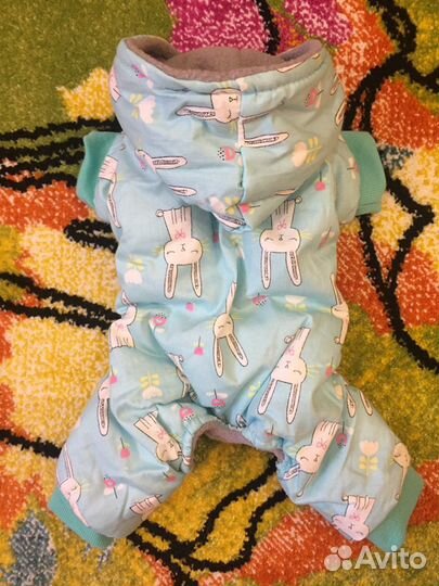 Одежда для собак