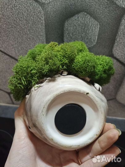 Копилка с мхом