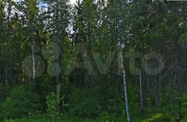 Участок 19,33 га (ИЖС)