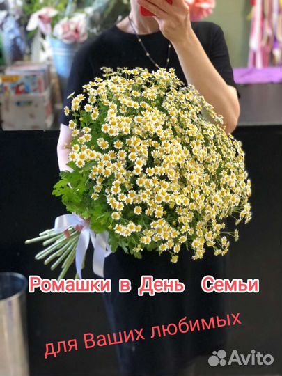 Букет 21 ромашка