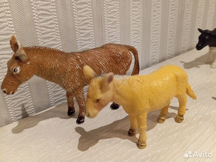 Домашние животные