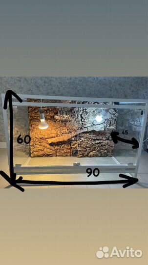 Террариум для рептилий