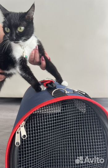 Сумка переноска для животных. Новая. Германия