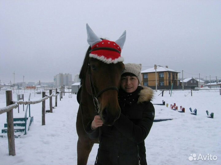 Ушки для лошади