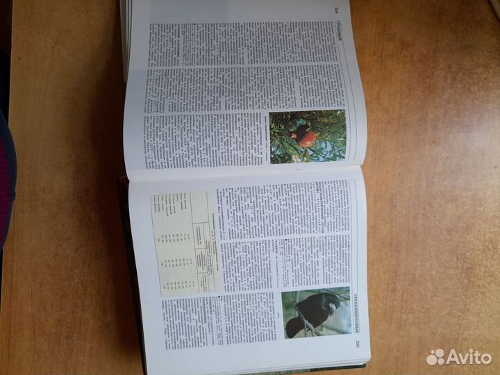 Лесная энциклопедия. 2 Т. 1985-1986 гг