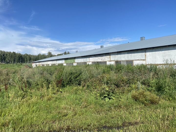 Склад, Производство, 2000 м²