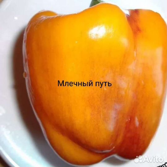 Семена сладкого перца