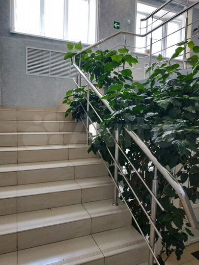 Свободного назначения, 341.4м² в центре Ст.Шайгово