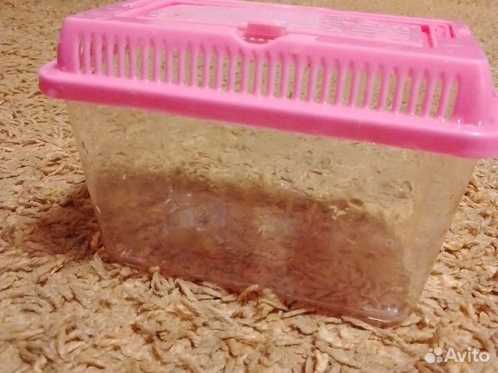 Аквариум для рыб черепах