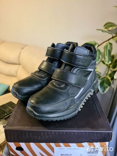 Ботинки демисезонные Zebra