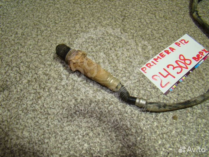 Датчик кислородный Nissan Primera (P12)