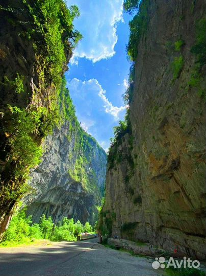 Рица. Малая Рица. infiniti