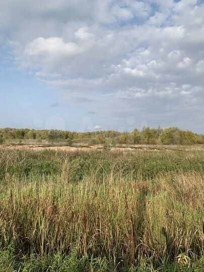 Участок 36,6 га (СНТ, ДНП)