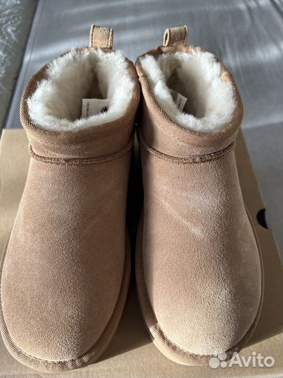 Замшевые полусапоги UGG Classic Mini Platform