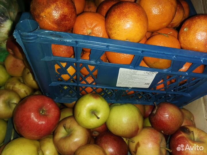 Продам яблоки