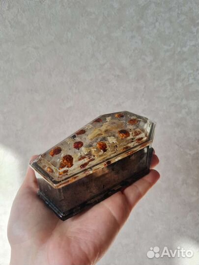 Шкатулка готика гроб кости таксидермия