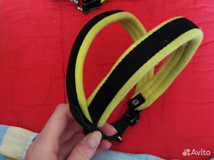 Ошейник для собак