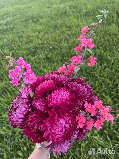 Цветы на 1 сентября