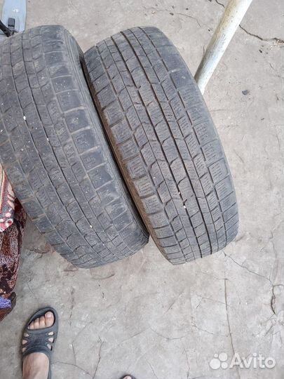 Dunlop Graspic DS3 205/65 R15 94Q