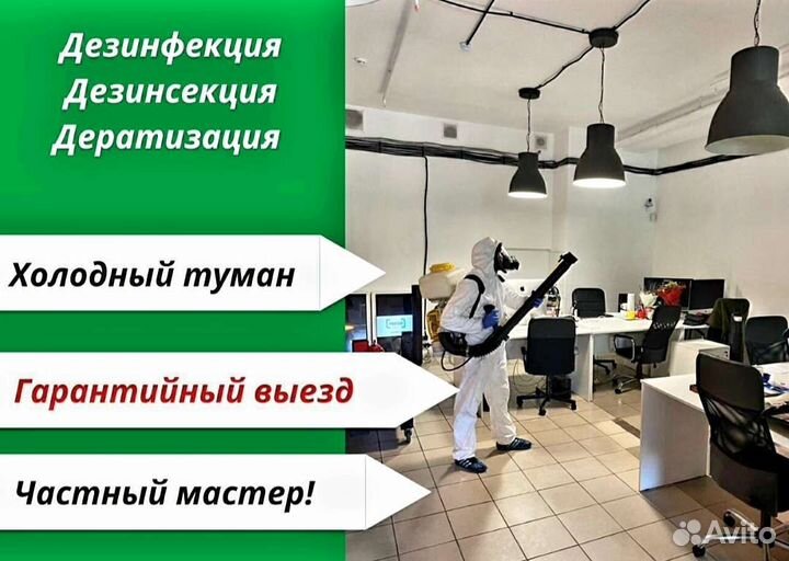 Дезинсекция