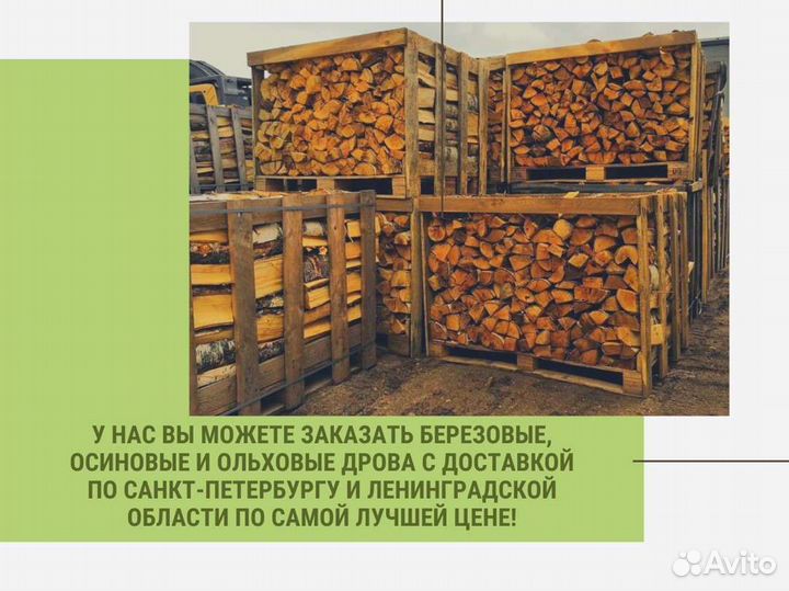 Дрова колотые березовые