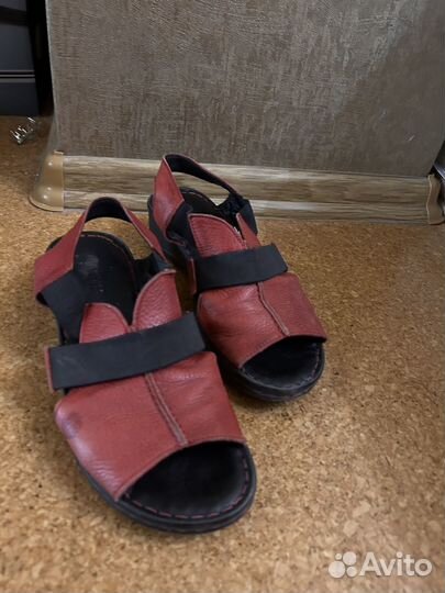 Бассаножки 38