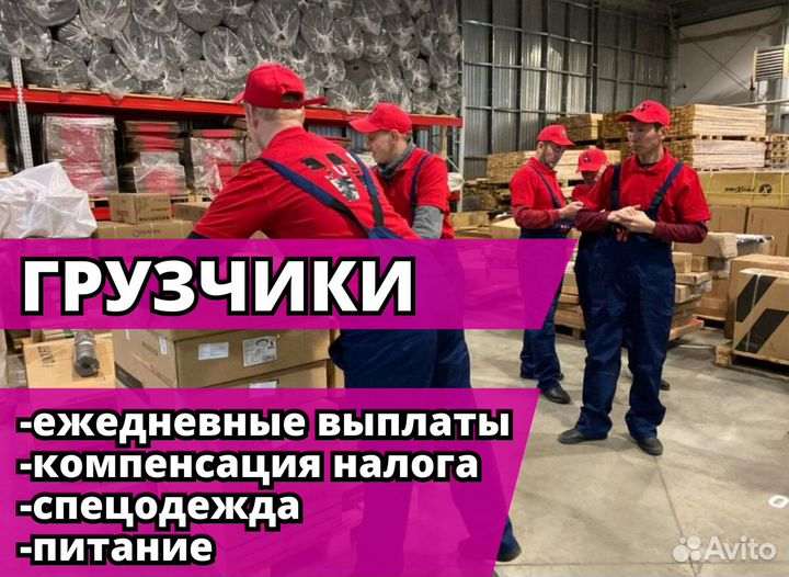 Грузчик с ежедневными выплатами. Код:gl646