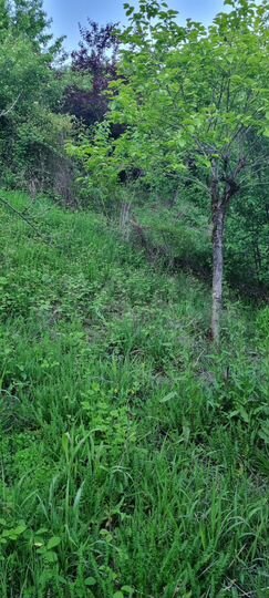 Участок 4 сот. (ИЖС)